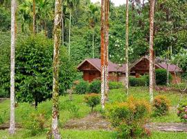 塔卡瀚绿色山林小屋，位于Tangkahan的木屋