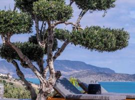 The Olive Tree Villa Elounda，位于伊罗达的度假屋