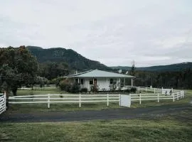 The Hamilton Kangaroo Valley