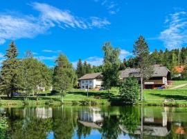 Ferienwohnungen Am Skilift，位于HerrischriedKleiner Herrischried Ski Lift附近的酒店