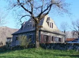 Maison de charme dans le Parc des Volcans d'Auvergne avec terrasse