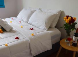 FLORA SUESCA HOSPEDAJE，位于苏埃斯卡的酒店