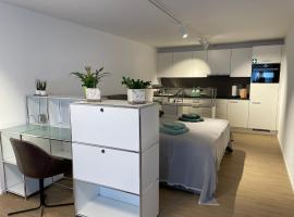 Studio Gocki，位于苏黎世的酒店