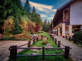 Hotel & Restaurant Sofia，位于苏恰维塔的酒店