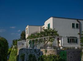 Villa La Pagaia Sorrento Coast，位于维克艾库塞的酒店