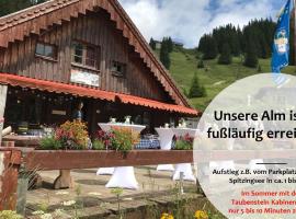 Obere Maxlraineralm，位于史毕辛吉的酒店