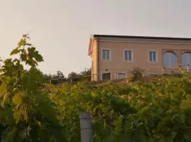 科雷亚尔托农家乐