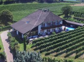 Landhaus Weingut，位于考那亚诺的酒店