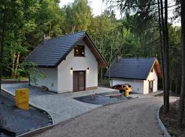 Domki Łowisko Wieniec