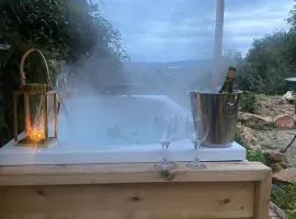 בית גלילי מול היער