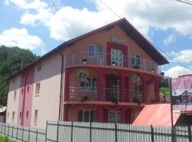 Pensiunea Floare de Bucovina