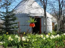 Karakol Yurt Lodge