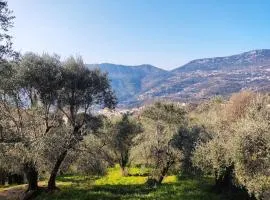 Bas de villa. Côte d'Azur, à 20 kms de Nice