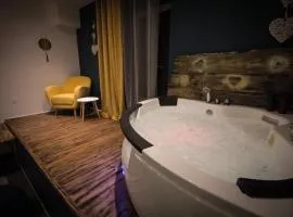 ** Au Canal du Midi - JACCUZZI & luxueux appartements **