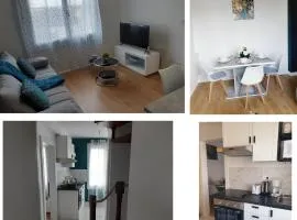 Duplex tout confort - circuit 24h - pôle santé sud - Centre des expositions - Technoparc