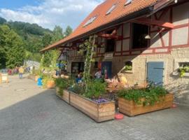 Gasthaus Holdermühle，位于克雷格林根的酒店