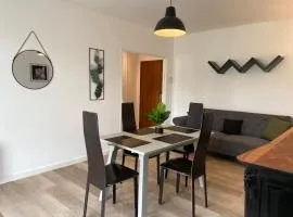1 Espalion superbe appartement hyper centre ville