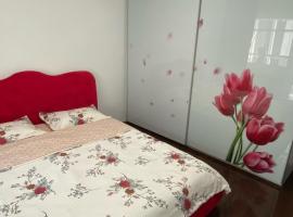 Apartament cozy，位于Drăgăşani的酒店