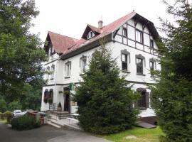 布劳恩旅馆，位于Rybniště的酒店