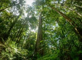 Talamanca Nature Reserve，位于Rivas奇里波峰附近的酒店