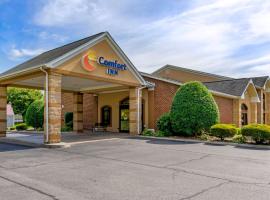 Comfort Inn Atkins-Marion I-81，位于Atkins的酒店