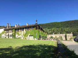 Clos de Mont July, chambres avec vue et terrasse dans demeure historique，位于Ceyzériat的酒店