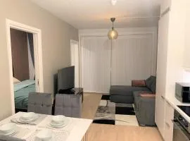 Scandpoint Apartments OSLO ski in ski out all year in SNOOSLO with Free Parking