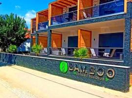 Bamboo Luxury Studios，位于尼基季的海滩短租房