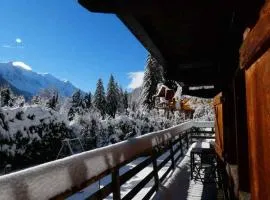 Chalet Falcon With Hot Tub - in a great location!