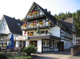 Pension & Ferienhaus Latröpchen，位于施马伦贝格的酒店