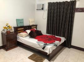 15pax-2minutes to Vigan-Rose and Fer Transient-2 Bedroom House，位于Bantay的酒店