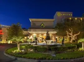 阿莱莎墨西卡利酒店