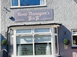 Rosie flanagan's，位于斯凯格内斯塔式花园附近的酒店