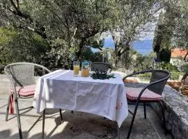Holiday home Olive- 150m from sea