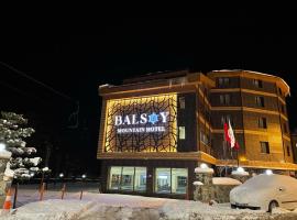 Balsoy Mountain Hotel，位于埃尔祖鲁姆埃尔祖鲁姆机场 - ERZ附近的酒店