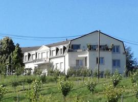 GÎTE de la FERME，位于Pfastatt的酒店