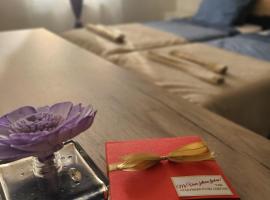 Stari Zaječar apartments，位于扎耶查尔的酒店