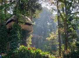 Jungle Jive Tree House Munnar，位于蒙纳的酒店