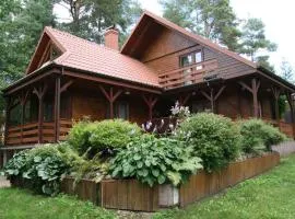 Połom nad jeziorem