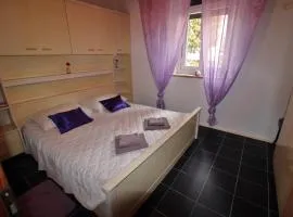 Apartment Zepina
