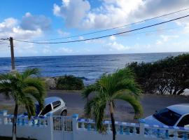 Studio agréable à Capesterre-de-Marie-Galante 25 m² vue mer，位于Beauséjour的酒店