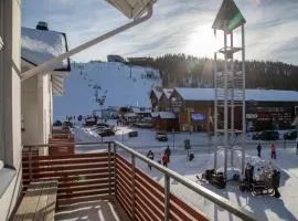 Ski Center Alpine Houses