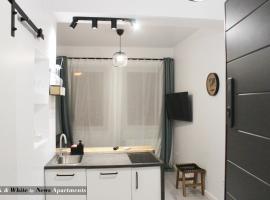 Black & White - News Apartment，位于布加勒斯特Dimitrie Gusti National Village Museum附近的酒店