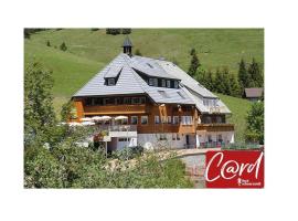 Ferienwohnung-Feldberg-in-der-Pension-Gloecklehof，位于托特瑙的旅馆