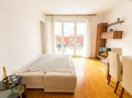 Apartment Lakeside Cerknica