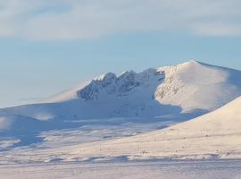 Snøhetta Camping，位于HjerkinnDovre National Park附近的酒店