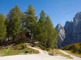 Erjavčeva mountain hut at Vršič pass，位于克拉尼斯卡戈拉的酒店