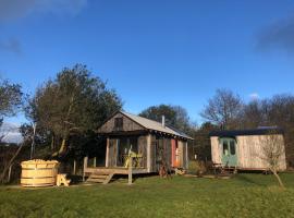 Sky View Shepherd's Huts with Woodburning Hot Tub，位于雷德鲁斯的木屋