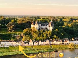 Escale face à la Loire，位于肖蒙索卢尔卢瓦尔河畔肖蒙古堡附近的酒店