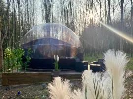 Logement insolite "Bubble jungle"